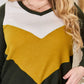 Hailey & Co Full Size Colorblock V-Neck Blouse